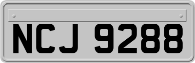 NCJ9288