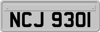 NCJ9301