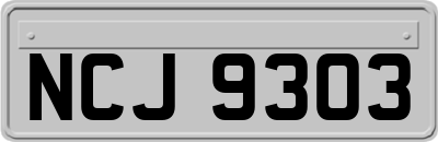 NCJ9303
