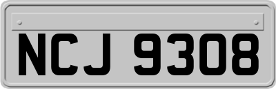 NCJ9308