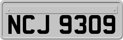 NCJ9309