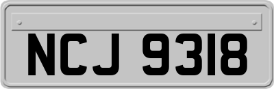 NCJ9318