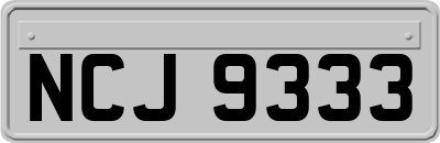 NCJ9333