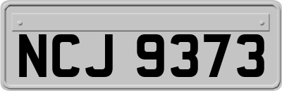 NCJ9373