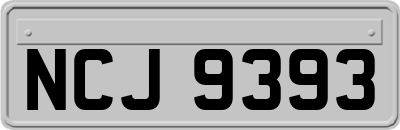 NCJ9393