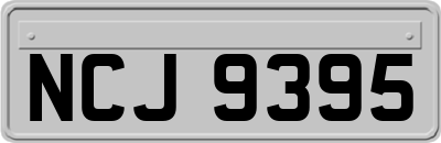 NCJ9395