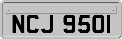 NCJ9501