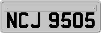 NCJ9505