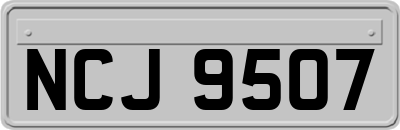 NCJ9507