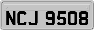 NCJ9508