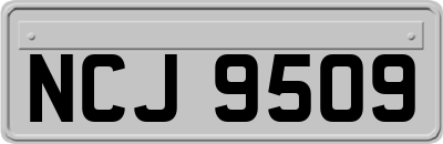 NCJ9509