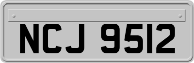 NCJ9512