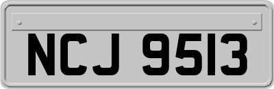 NCJ9513