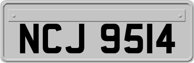 NCJ9514