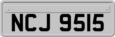 NCJ9515