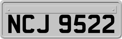 NCJ9522