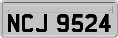 NCJ9524