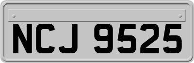 NCJ9525