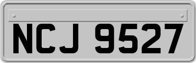 NCJ9527