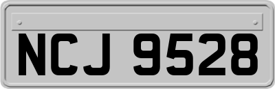 NCJ9528
