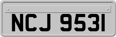 NCJ9531