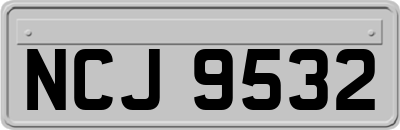 NCJ9532