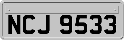 NCJ9533