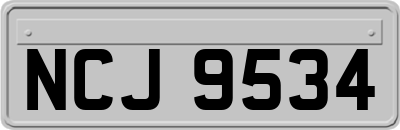 NCJ9534
