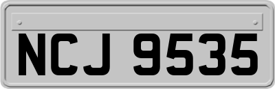 NCJ9535