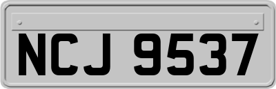 NCJ9537