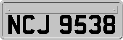 NCJ9538