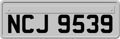 NCJ9539