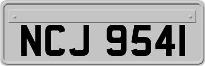 NCJ9541