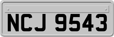 NCJ9543