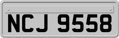 NCJ9558