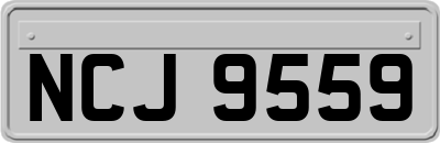 NCJ9559