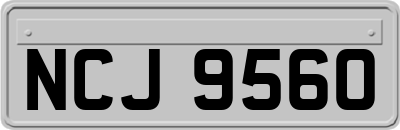 NCJ9560