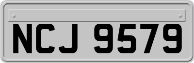 NCJ9579