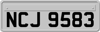 NCJ9583