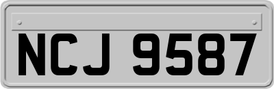 NCJ9587