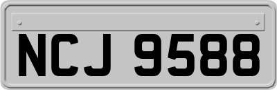NCJ9588