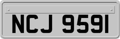 NCJ9591