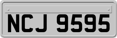 NCJ9595