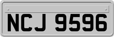 NCJ9596