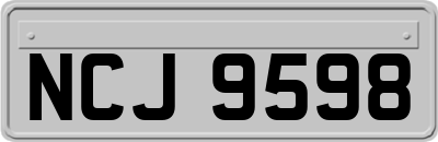 NCJ9598