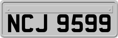 NCJ9599