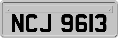 NCJ9613