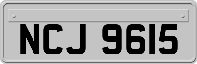 NCJ9615