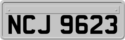 NCJ9623