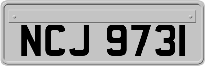 NCJ9731
